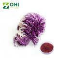 Red Cabbage Color Natural Powder Pigment